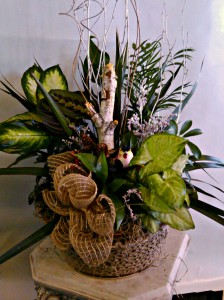 Spring Plant Garden With Bird