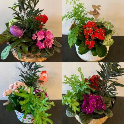 Spring Planter 2021