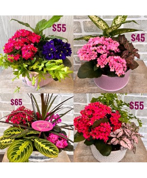 Mother's Day Planter 2025 