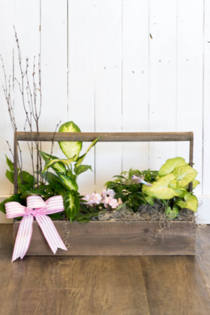 Spring Planter