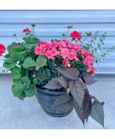 Spring Planter Flower Planter
