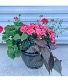 Spring Planter Flower Planter