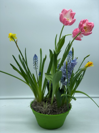 Spring Planter Table top