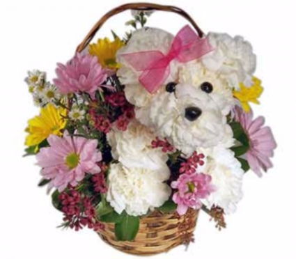 Spring Puppy