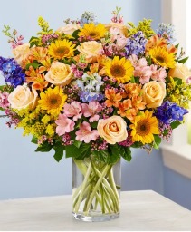 Spring Sensation 