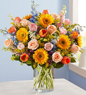 Spring Sensation™ Arrangement in Croton On Hudson, NY | Cooke's Little Shoppe Of Flowers Spring Sensation™ Arrangement in Croton On Hudson, NY | Cooke's Little Shoppe Of Flowers