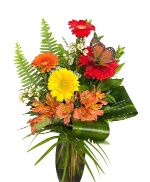 SPRING SENSATION! SPRING SPECIAL
