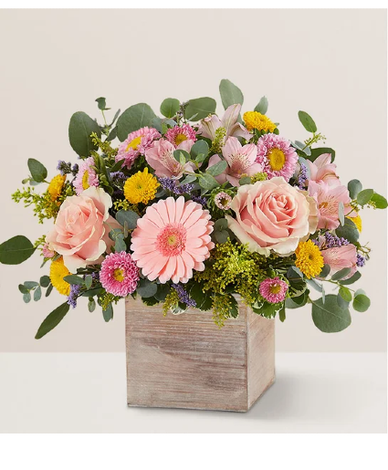 SPRING SENTIMENT 
