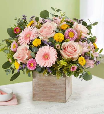 Spring Sentiments #179053L  in Fort Worth, TX | DAVIS FLORAL DESIGNS