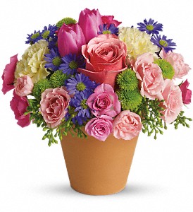 Spring Sonata T147-1A  in Fort Worth, TX | DAVIS FLORAL DESIGNS