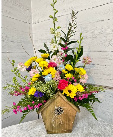 Spring Song Any Occassion in Lewiston, ME | BLAIS FLOWERS & GARDEN CENTER