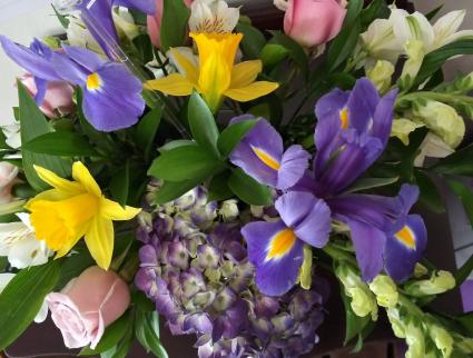 Spring Special