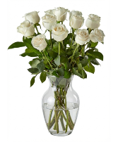 White Rose Special Simple White Dozen Roses