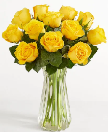 Spring Special Simple Yellow Dozen Roses in Pensacola, FL | Cordova Flowers and Gifts