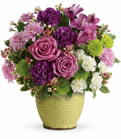 Spring Speckle H18E300B