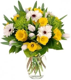 SPRING SUNBURST BOUQUET in Garrett Park, MD | ROCKVILLE FLORIST & GIFT BASKETS SPRING SUNBURST BOUQUET in Garrett Park, MD | ROCKVILLE FLORIST & GIFT BASKETS