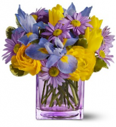 Spring Sunlight 415 Vase arrangement 
