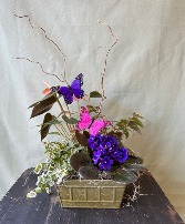 Dish Garden Delight 
