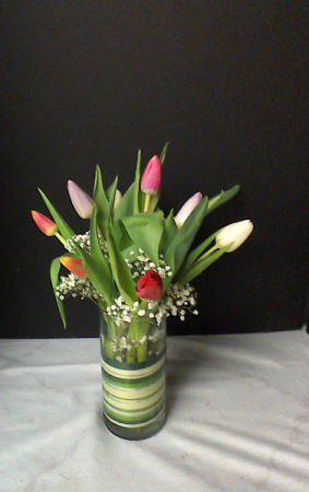 Spring Time Tulips multi-colored tulips