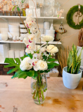 Spring to winter  Orchid 