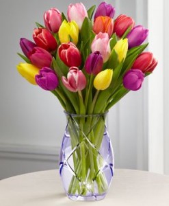 Spring Tulip Bouquet in Bryan, OH | Farrell's Lawn & Garden and Flowers Spring Tulip Bouquet in Bryan, OH | Farrell's Lawn & Garden and Flowers