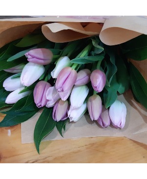  Spring Tulip Bouquet Hand Tied  20 stems of tulips in a bouquet
