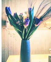 Spring tulip Sale classic tulips