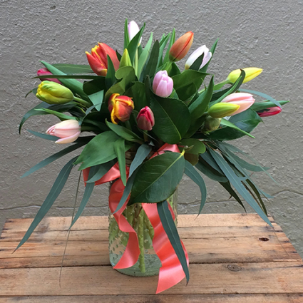 Spring Tulips