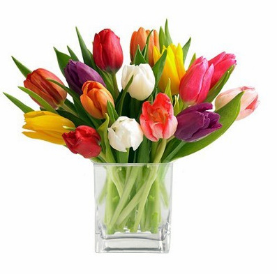 Spring Tulips **LOCAL DELIVERY ONLY**