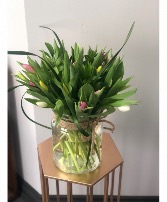 Spring tulips  