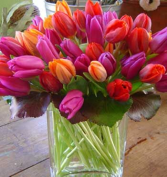spring tulips  administrative day 