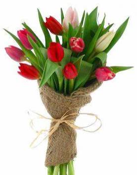 Spring Tulips Bouquet 