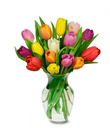 Spring Tulips Floral Arrangement