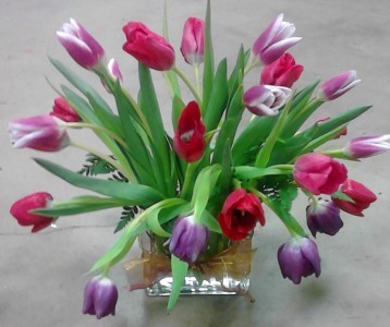 Spring Tulips Fresh floral