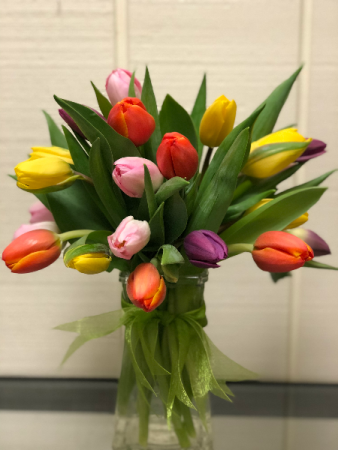 Spring Tulips Vase Arrangement  in Fairfield, CT | Blossoms at Dailey's Flower Shop