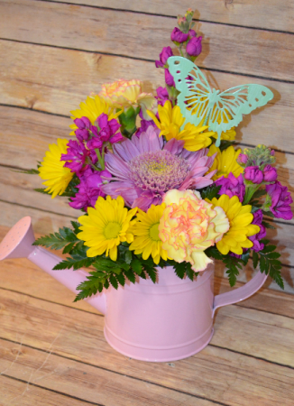 Spring Watering Can - **Can Color will vary
