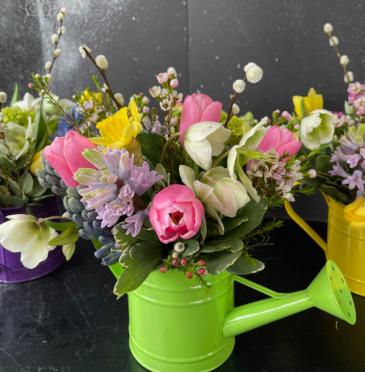 Spring Watering Can Limited time special in Haverhill, MA | Welcome To Floristry