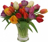 Spring Welcome Mixed Tulip Vase