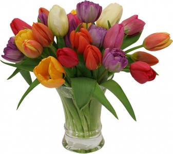 Spring Welcome Mixed Tulip Vase in Port Stanley, ON | Flowers By Rosita