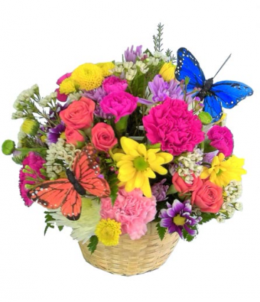 Spring's Delight Arrangement in basket in Cherokee, IA | Blooming House