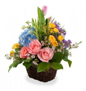 Springs Sprung Fresh cut Roses, Hydrangea, Tulips and Premium Fill