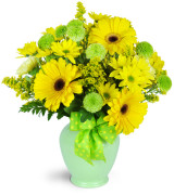 Springtime Happiness - 654 (vase may vary) Flower Arrangment 