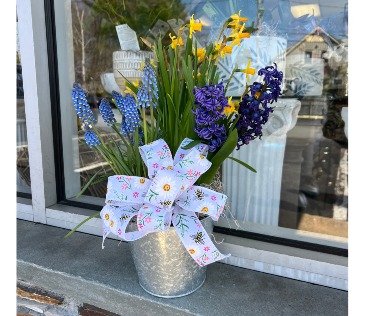 Springtime Joy Assorted Bulb Plant Garden in Mattapoisett, MA | Blossoms Flower Shop