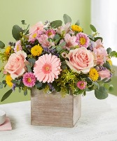 Springtime Sentiment 