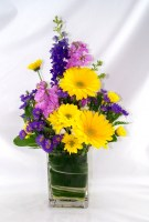 Springtime Splash Vase Arrangement