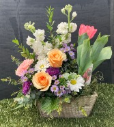 Springtime Tulip Arrangement spring plant and fresh cut flowers combo