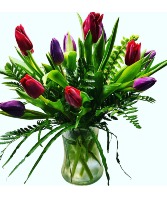 Springtime Tulips Variety of colors available