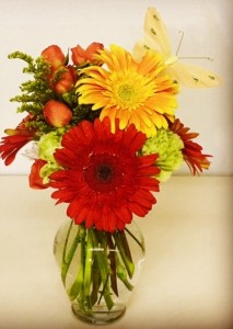 Springy Garden Gerber Mix