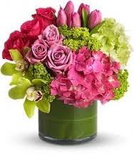 Springy Pink and Green Fresh Flowers