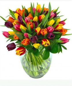 Springy Tulip Vase Vased Arrangement Semi-Compact